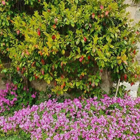 Pleasant In With Private Terrace Holiday home *