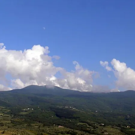 Pleasant In With Private Terrace Holiday home Seggiano
